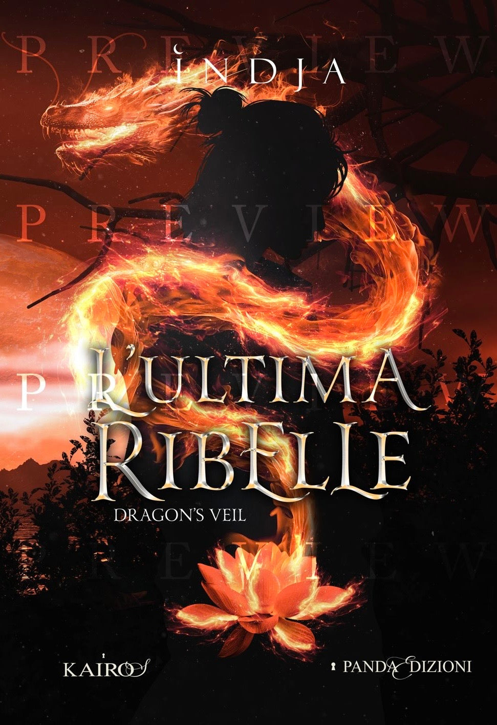 L'ULTIMA RIBELLE - Dragon's Veil (vol.1)